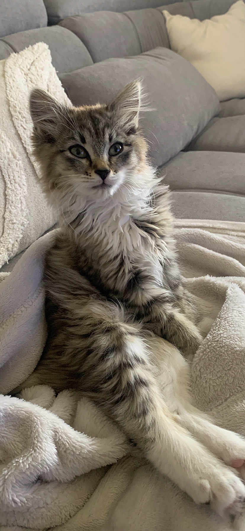 Lily