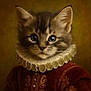 kitten, cat, portrait, costume, ruffled_collar, historical_clothing, brown, fur, pet, animal, closeup, cute, young, indoor, fancy, dressed_up, eyes, face, whiskers, soft_lighting
