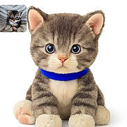 Rocket joined the competition — help win amazing prizes! kitten, cat, blue_collar, furry, cute, small_animal, pet, animal, tabby, striped, whiskers, paws, fluffy, sitting, portrait, closeup, photo_in_photo, blanket, indoor, young