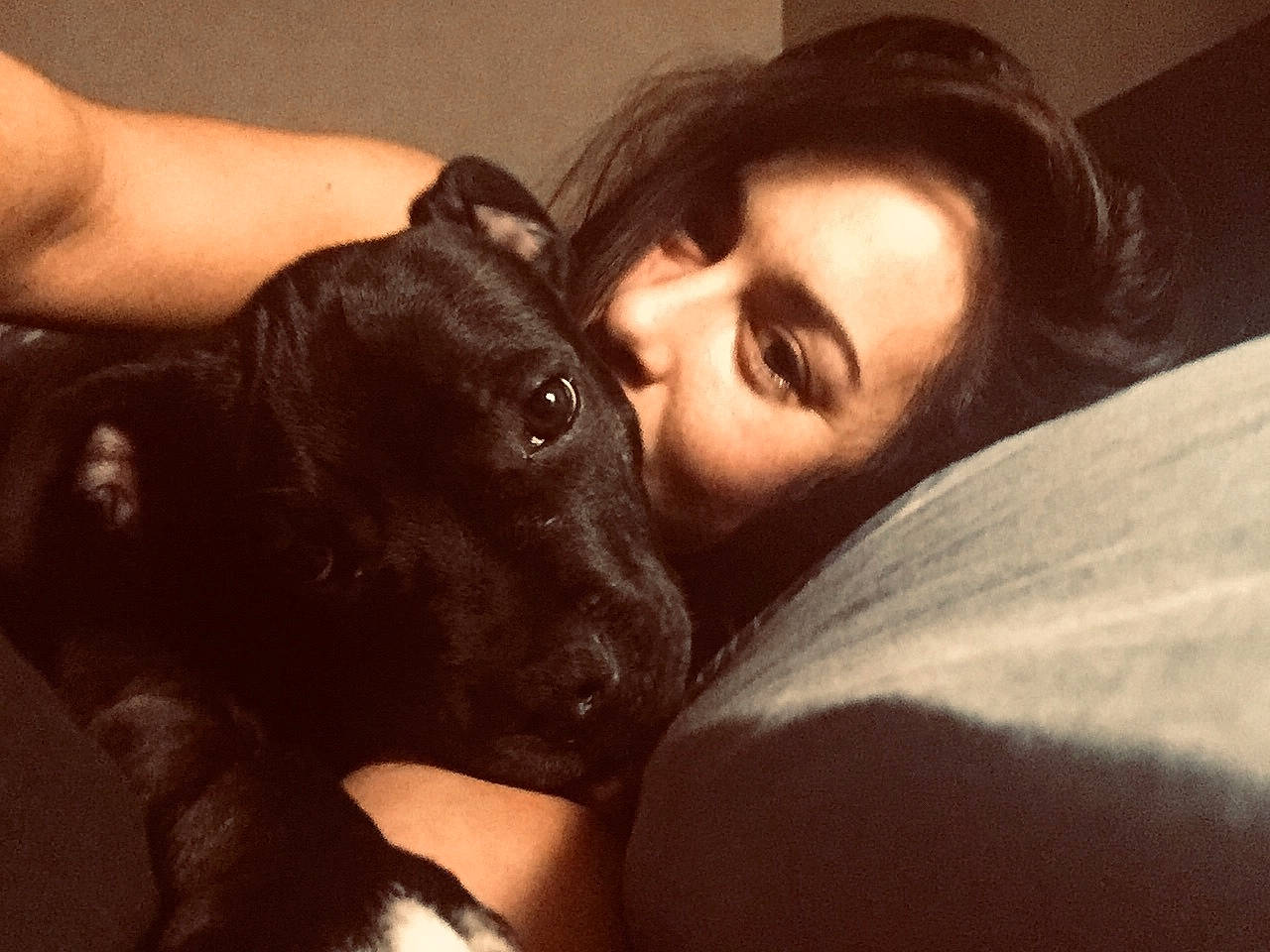 Pao a rejoint le concours — aidez-le/la à gagner de superbes lots ! beauty, black_hair, canidae, companion_dog, dog, dog_breed, ear, eye, guard_dog, love, non_sporting_group, puppy_love, selfie