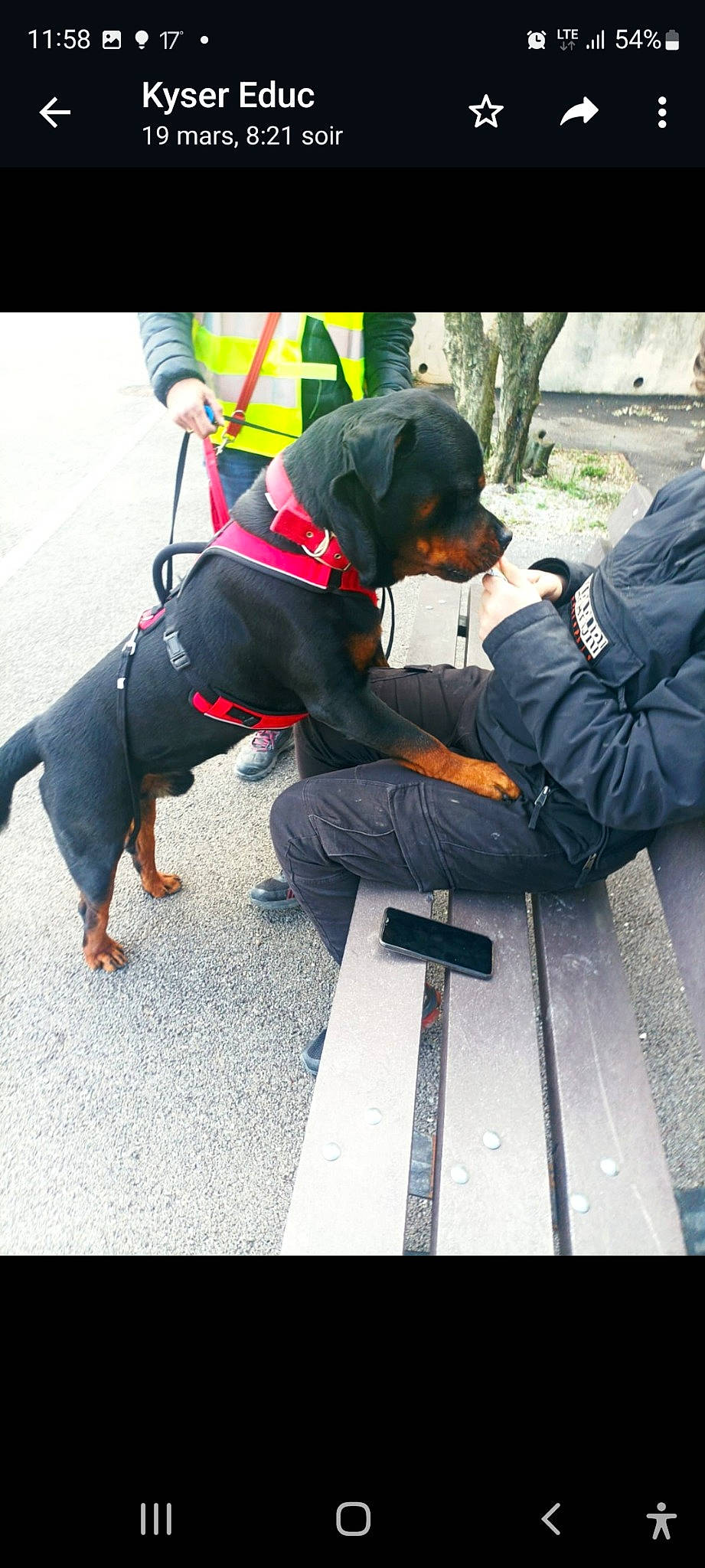 Simba participe au concours pour gagner de l'argent avec cette photo : asphalt, backpack, bag, carnivore, collar, companion_dog, concrete, dog, dog_breed, dog_clothes, dog_collar, dog_supply, fashion_accessory, guard_dog, leash, personal_protective_equipment, recreation, road_surface, working_animal, workwear