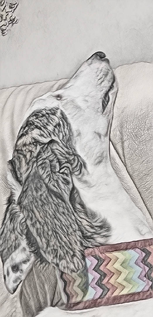 Joy a rejoint le concours — aidez-le/la à gagner de superbes lots ! artwork, drawing, figure_drawing, grizzly_bear, illustration, sketch