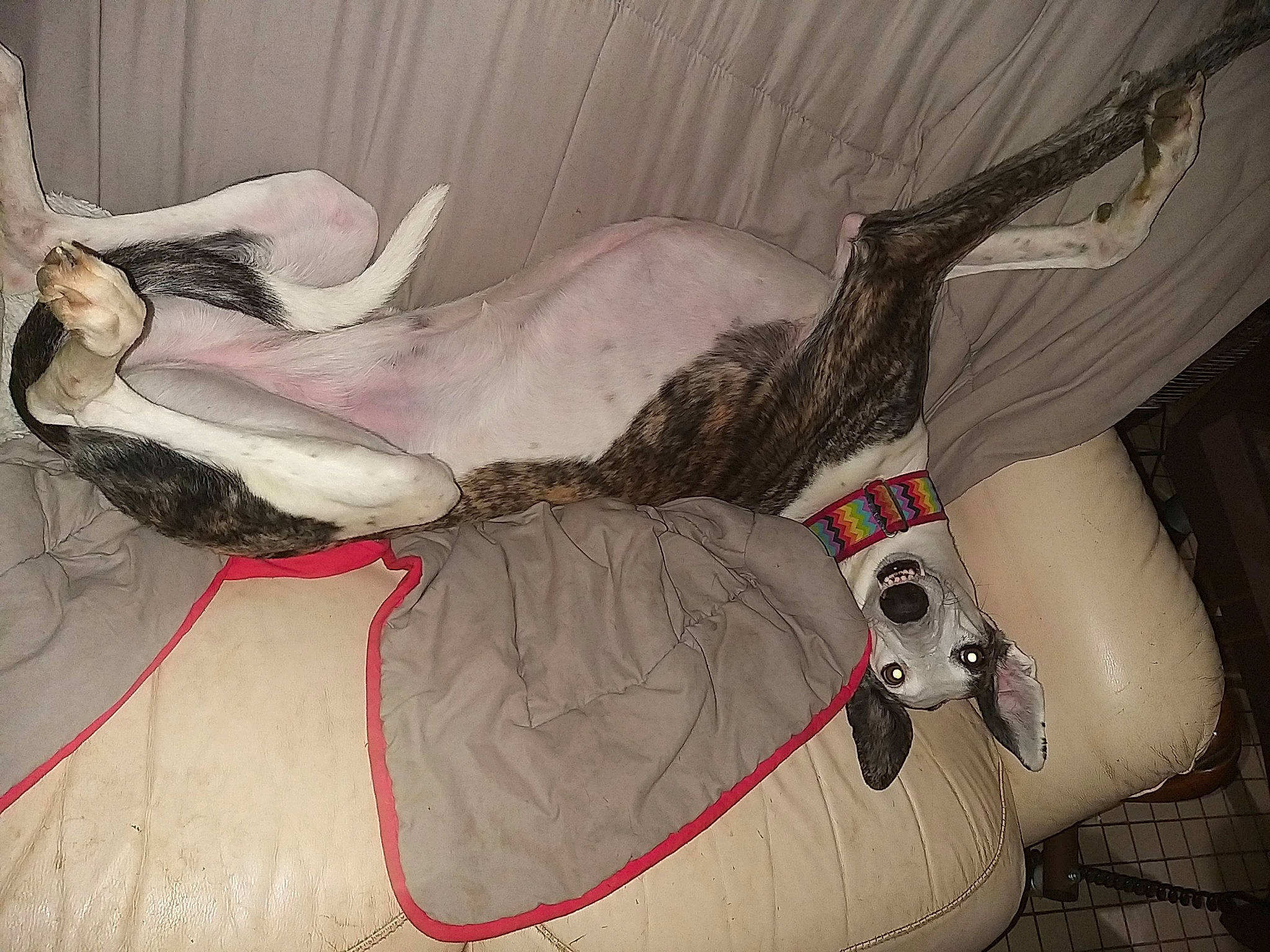 Joy participe au concours pour gagner de l'argent avec cette photo :