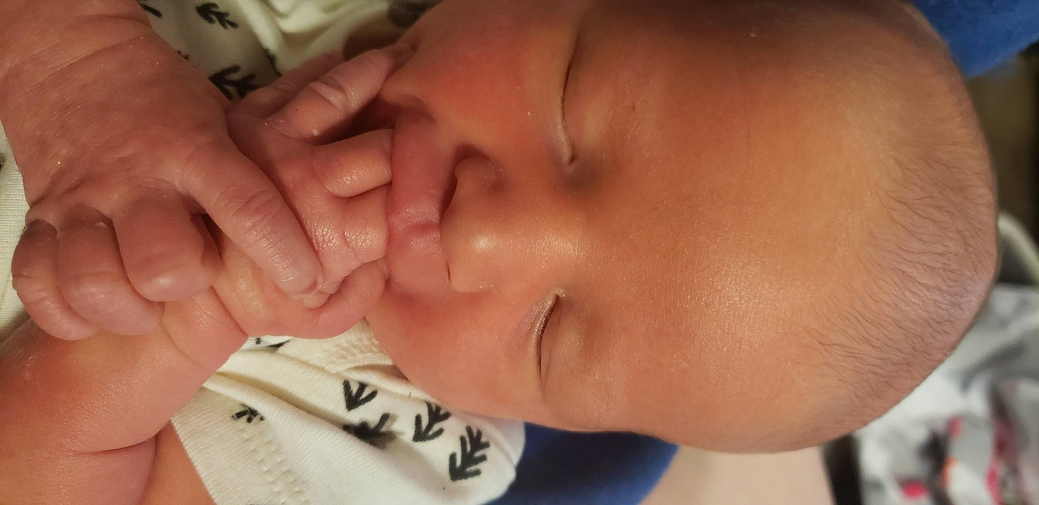 Jeremy joined the competition — help win amazing prizes! baby, cheek, chin, ear, eyebrow, eyelash, finger, forehead, gesture, hair, hand, happy, human_body, jaw, lip, mouth, muscle, neck, nose, person