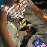 Wicket a rejoint le concours — aidez-le/la à gagner de superbes lots ! bed, blanket, calico_cat, casual_clothing, cat, cherry_pattern, child, closeup, comfort, indoor, person, pet, relaxing, resting, shadow, smartphone, striped_shirt, sunlight, technology, white_blanket