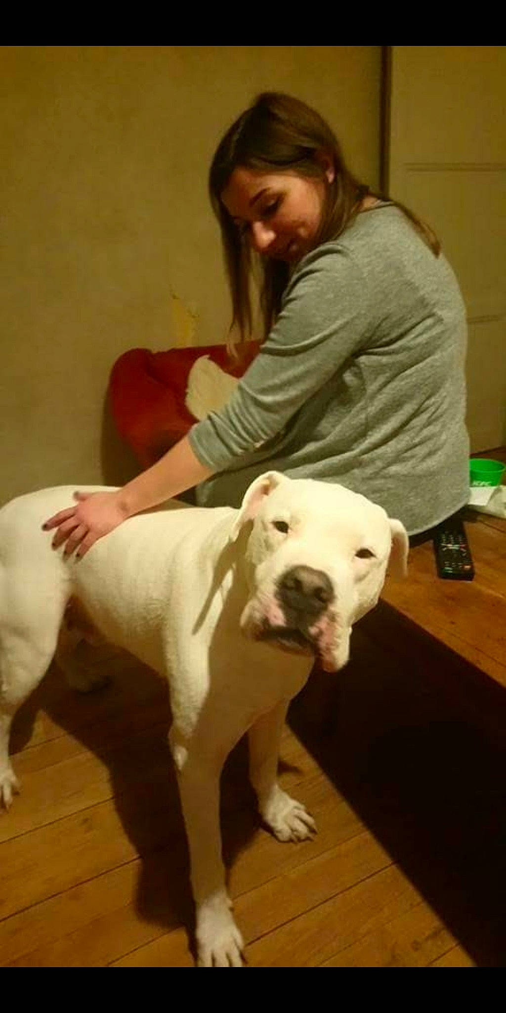 Diego participe au concours pour gagner de l'argent avec cette photo : canidae, carnivore, collar, comfort, companion_dog, dog, dog_breed, dog_collar, fawn, floor, flooring, fur, knee, leash, pet_supply, smile, snout, tail, whiskers, working_animal