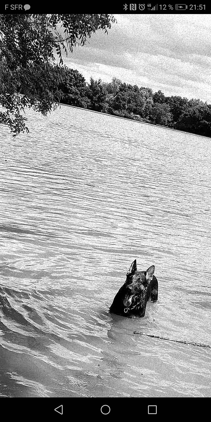 Maiko a rejoint le concours — aidez-le/la à gagner de superbes lots ! bank, beach, black, black_and_white, calm, grass, horizon, lake, landscape, natural_environment, natural_landscape, plant, style, tints_and_shades, tree, water, water_resources, watercourse, wind_wave, wood