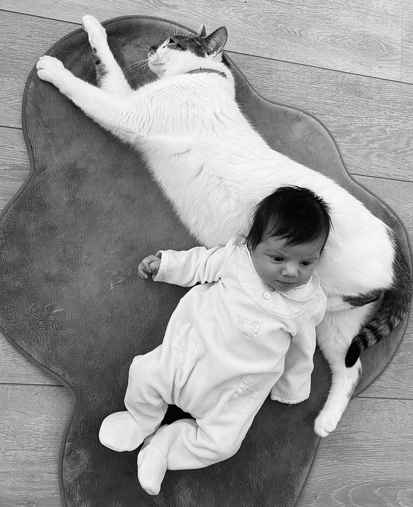 Thalia participe au concours pour gagner de l'argent avec cette photo : art, baby, baby_toddler_clothing, black, black_and_white, carnivore, cat, comfort, felidae, foot, gesture, happy, monochrome, monochrome_photography, person, sitting, small_to_medium_sized_cats, snout, style, tail