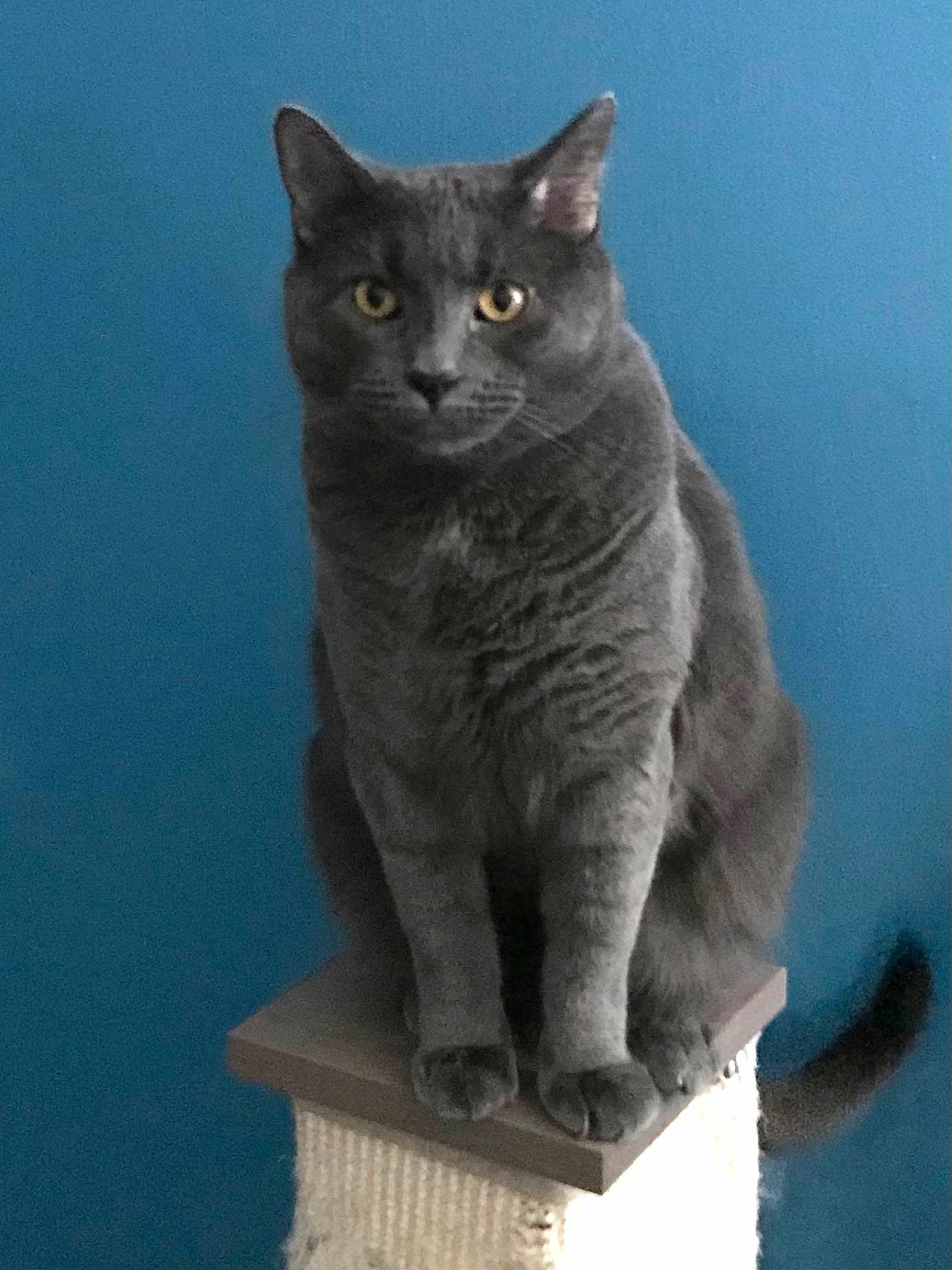 Sam