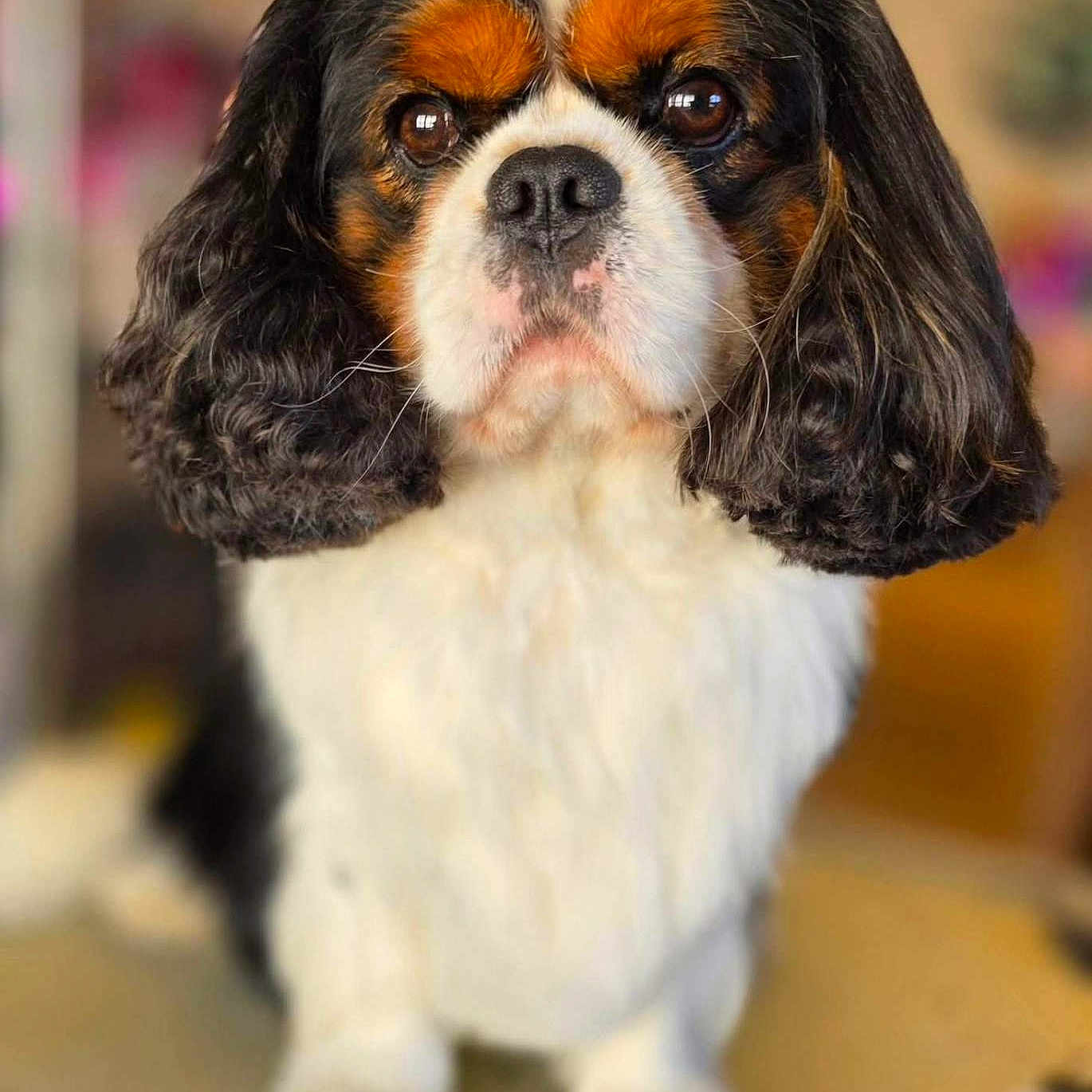 Ugo
