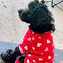 dog, black_dog, pet, animal, clothing, onesie, hearts_pattern, sitting, outdoor, porch, doorstep, fur, cute, cozy, paw, side_view, looking_away, canine, furry, resting
