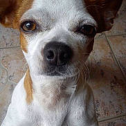 Gommette participe au concours pour gagner de l'argent avec cette photo :