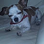 Gommette participe au concours pour gagner de l'argent avec cette photo :