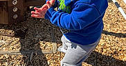 Jaylen is registered to the contest to win money with this photo: blue_sweatshirt, child, clothing, curious, daylight, expression, grey_pants, hands, outdoor, park, person, play_equipment, playground, shadow, socks, standing, sunlight, toddler, wood_chips, young_child