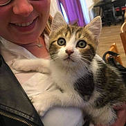 Ninja a rejoint le concours — aidez-le/la à gagner de superbes lots ! kitten, cat, person, glasses, smile, indoor, holding, pet, leather_jacket, white_shirt, curtains, furniture, chair, wooden_floor, necklace, young_adult, closeup, domestic_animal, cute, happy