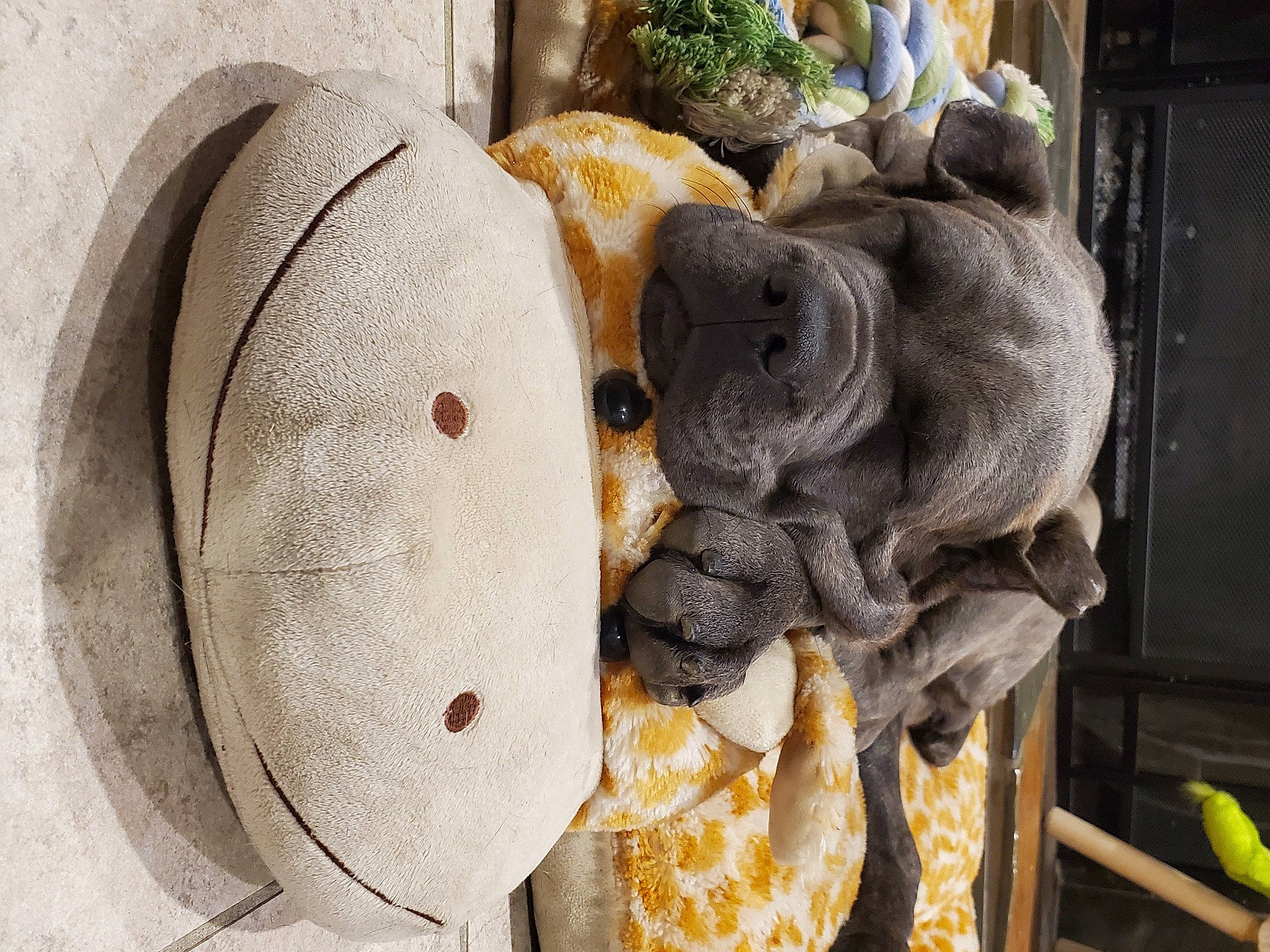 Lyric is registered to the contest to win money with this photo: natural_material