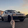 cat, car, street, sunset, vehicle, road, animal, pet, outdoor, sky, vintage_car, parking, tail, walking, asphalt, building, nature, transportation, twilight, evening