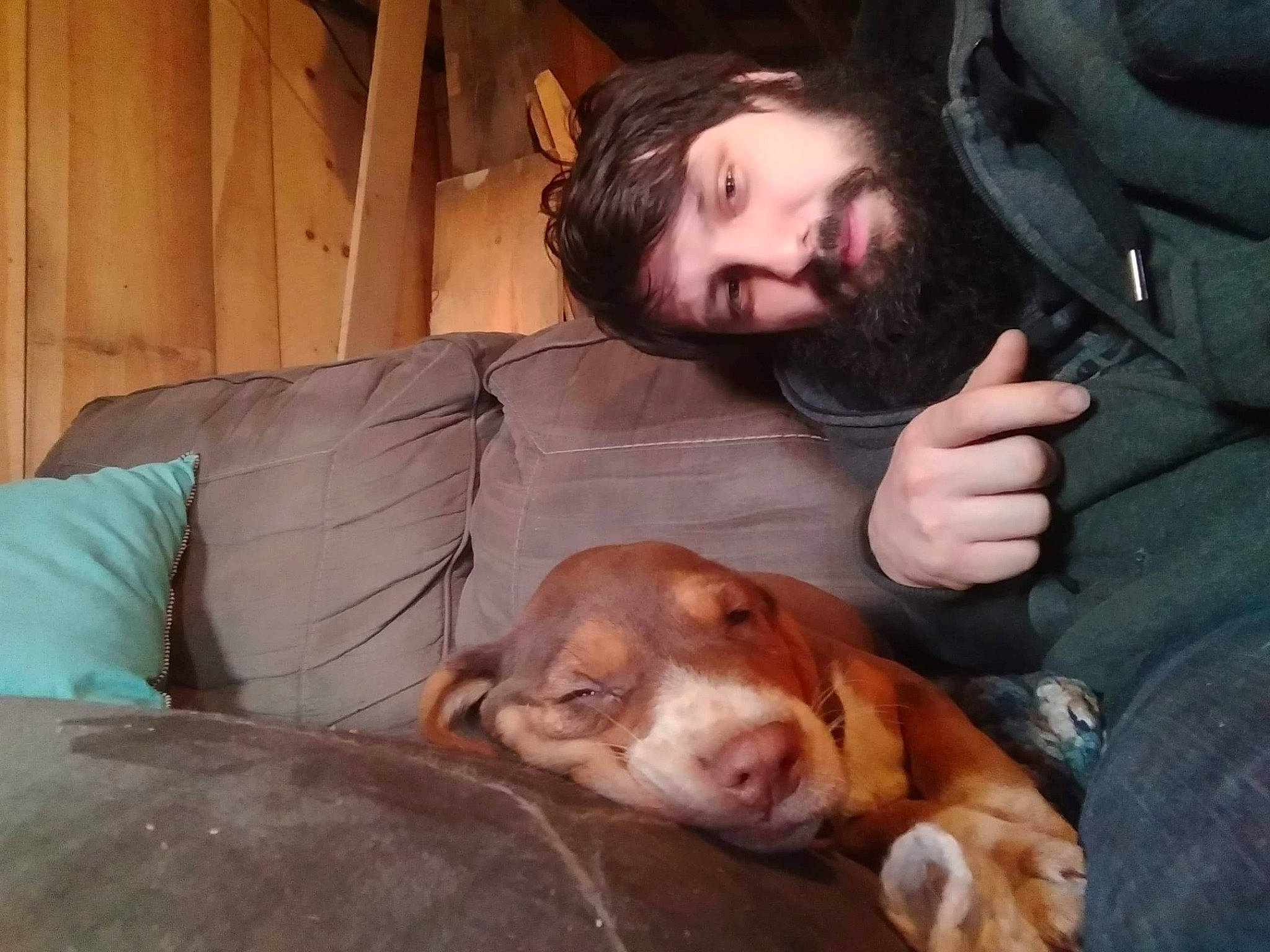 Rufus is registered to the contest to win money with this photo: basset_hound, bracco_italiano, canidae, carnivore, companion_dog, dog, dog_breed, ear, harrier, hound, hunting_dog, jaw, mammal, nose, puppy_love, snout, sporting_group, vizsla