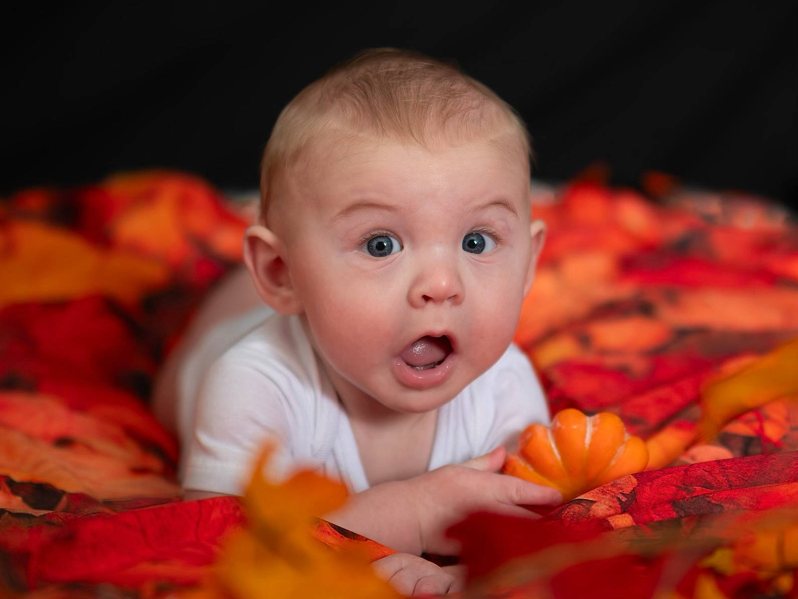 Parker joined the competition — help win amazing prizes! baby, baby_toddler_clothing, cheek, child, eye, face, flash_photography, flooring, grass, happy, iris, lip, nose, orange, people_in_nature, person, petal, plant, smile, surprise