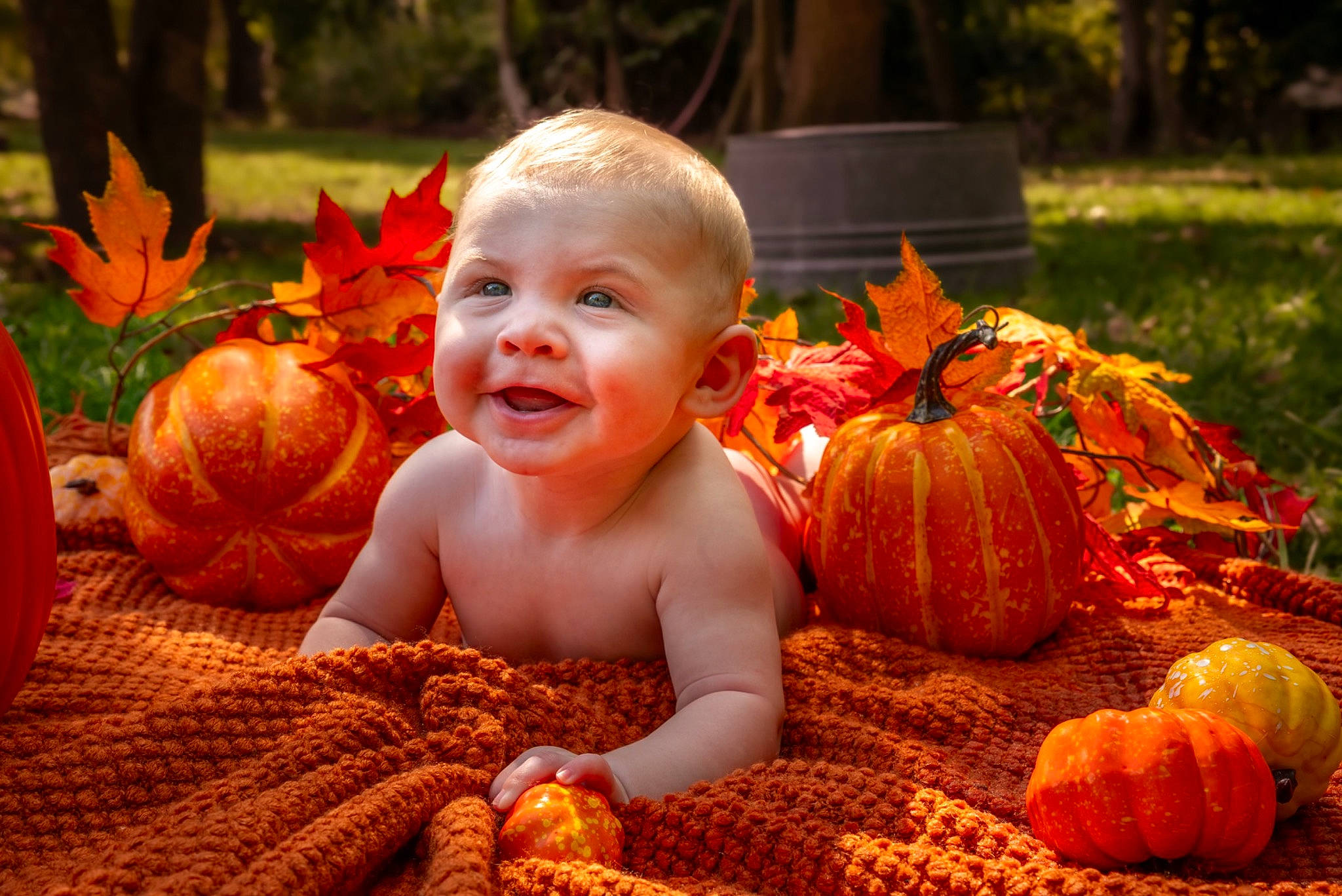 Parker is registered to the contest to win money with this photo: botany, calabaza, cucurbita, eye, facial_expression, fruit, gourd, happy, human_body, leaf, natural_foods, orange, organ, people_in_nature, person, plant, pumpkin, smile, squash, sunlight
