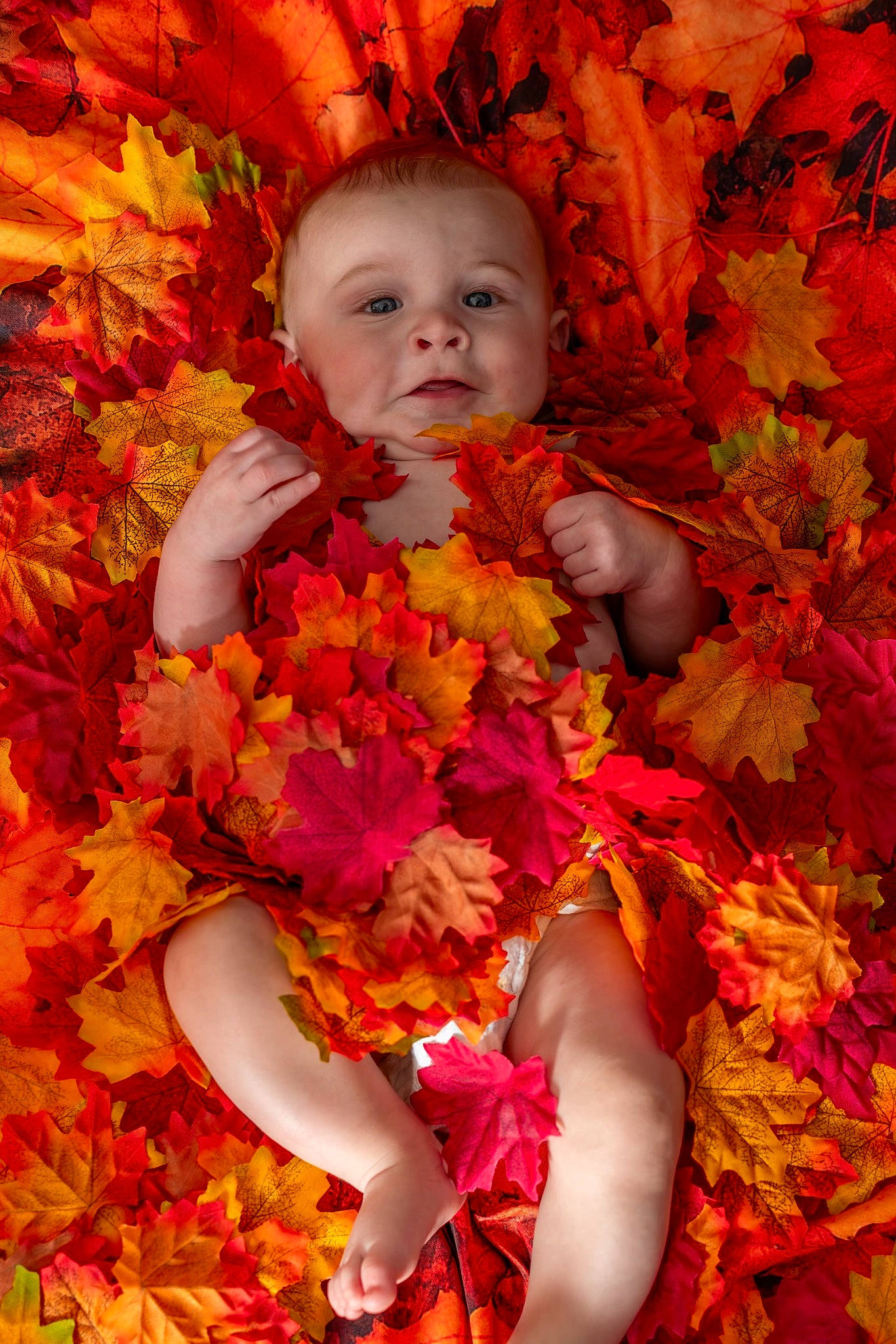 Parker joined the competition — help win amazing prizes! baby, beauty, botany, cheek, facial_expression, flower, grass, happy, leaf, lei, magenta, orange, organ, people, people_in_nature, person, petal, pink, plant, red