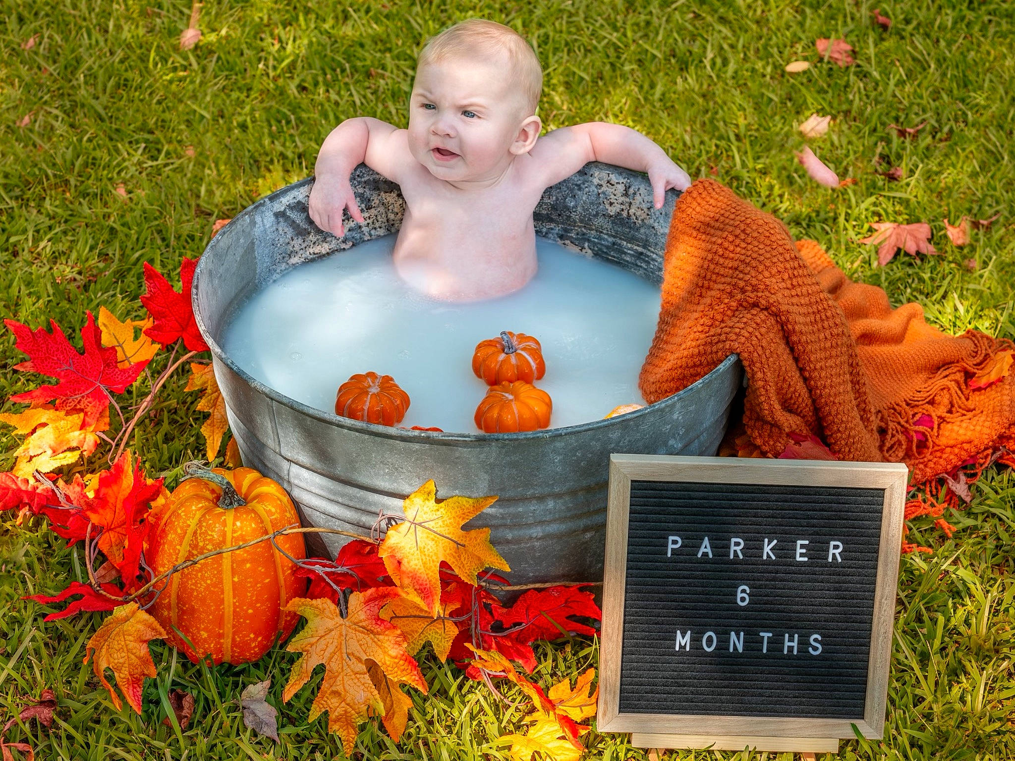 Parker is registered to the contest to win money with this photo: art, baby, botany, calabaza, cucurbita, flower, gourd, grass, happy, landscape, leaf, leisure, natural_foods, orange, people_in_nature, person, plant, pumpkin, recreation, toddler