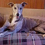 Cosmic is registered to the contest to win money with this photo: