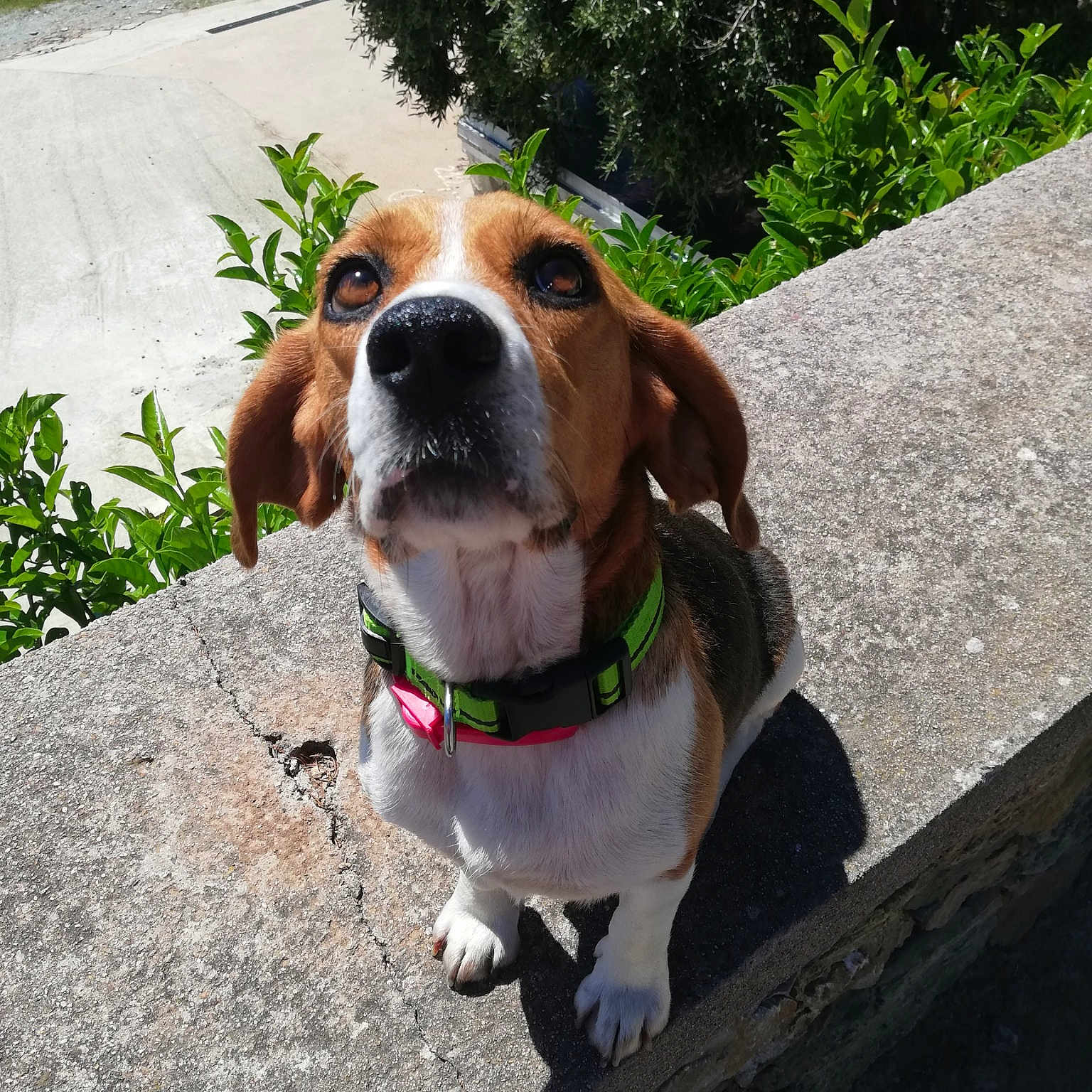 Ruby