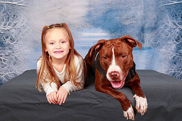 Stacy a rejoint le concours — aidez-le/la à gagner de superbes lots ! canidae, carnivore, companion_dog, dog, dog_breed, eye, fawn, flash_photography, fun, fur, happy, head, joy, liver, people_in_nature, person, plant, sitting, sky, smile