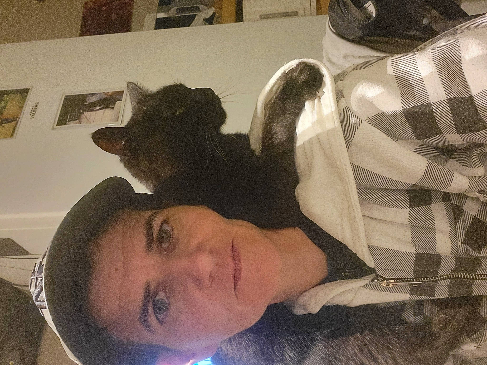 Coquin a rejoint le concours — aidez-le/la à gagner de superbes lots ! art, beard, comfort, eyelash, eyewear, facial_hair, felidae, fun, fur, jaw, mouth, pattern, personal_protective_equipment, picture_frame, plaid, room, selfie, small_to_medium_sized_cats, tree, whiskers