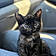 Binx