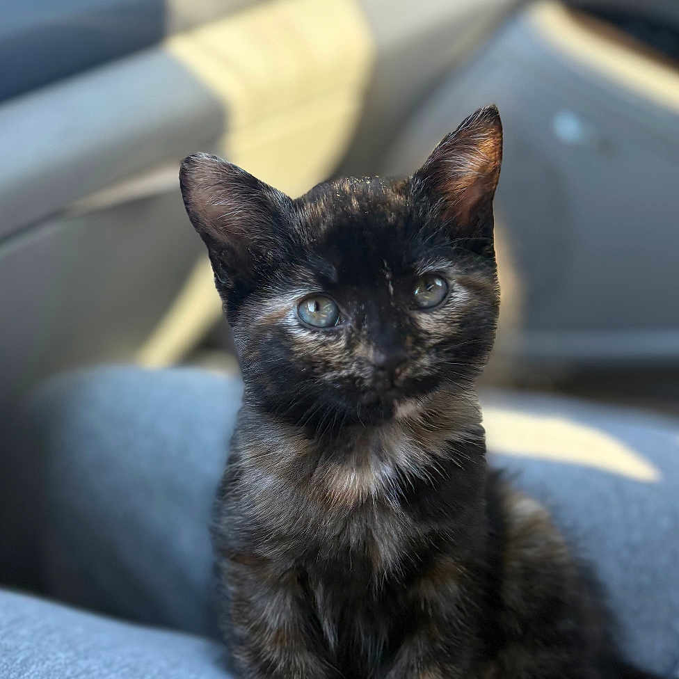 Binx