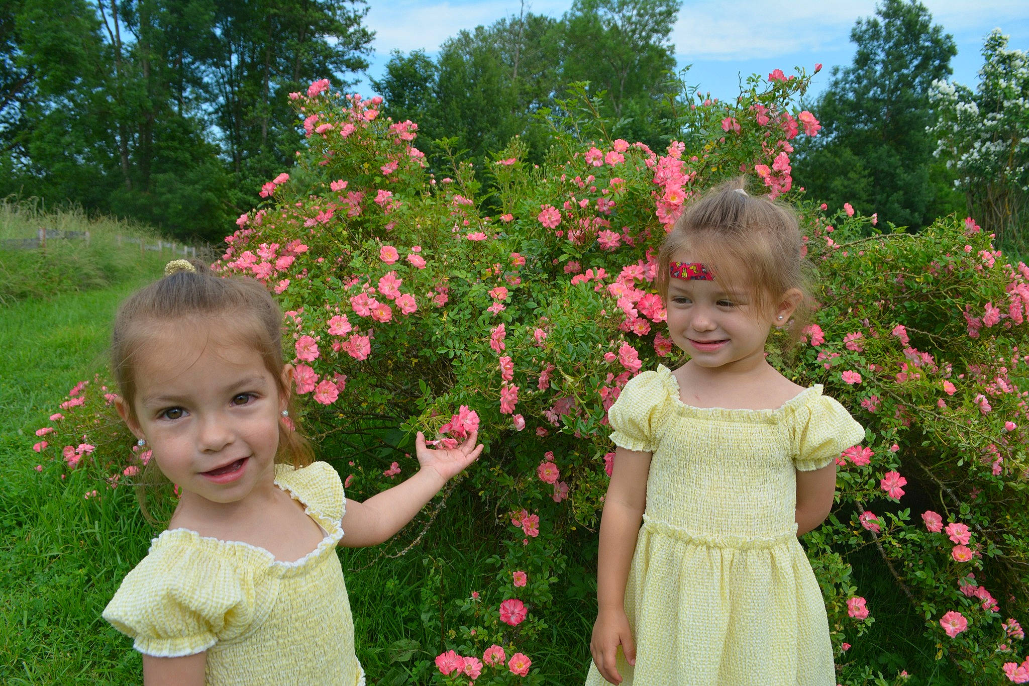 Celyanna Et Mila a rejoint le concours — aidez-le/la à gagner de superbes lots ! baby_toddler_clothing, botany, clothing, cloud, flower, flowering_plant, grass, happy, joy, leaf, people_in_nature, person, petal, pink, plant, red, shrub, sky, smile, summer