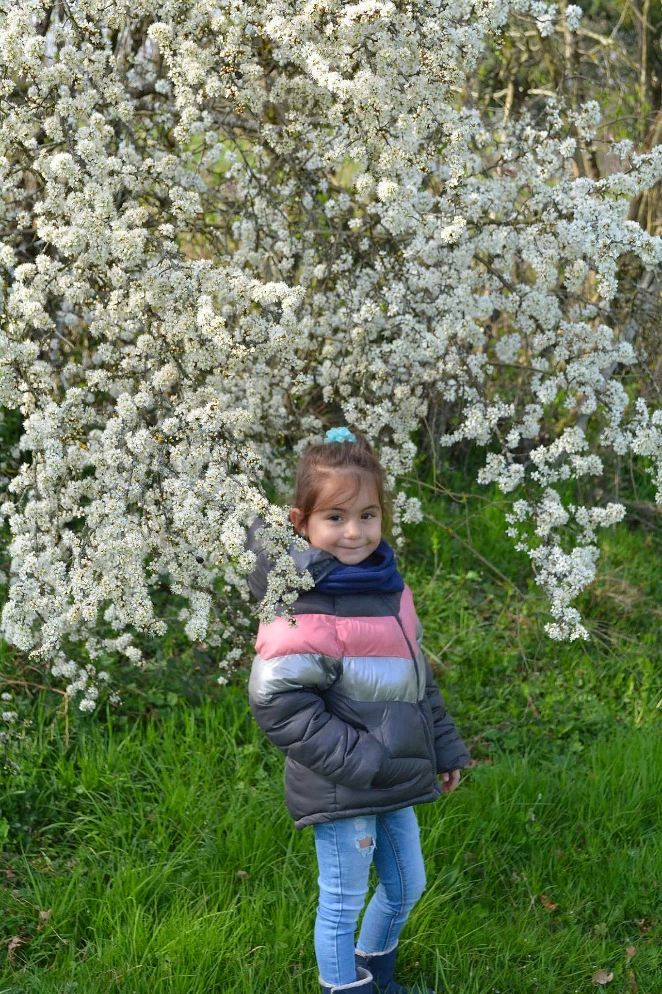 Louane a rejoint le concours — aidez-le/la à gagner de superbes lots ! blossom, botany, flower, flowering_plant, grass, joy, person, plant, prunus, shadbush, shrub, spring, tree, woody_plant