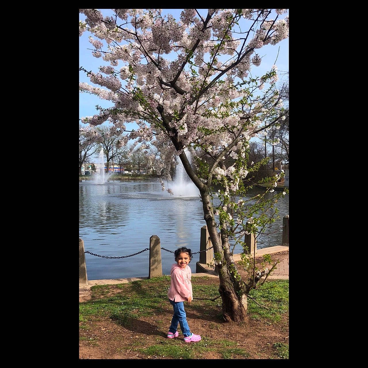 Jaiven joined the competition — help win amazing prizes! branch, deciduous, grass, happy, joy, lake, landscape, leisure, natural_landscape, people_in_nature, person, plant, sky, sunlight, tints_and_shades, travel, tree, trunk, twig, water