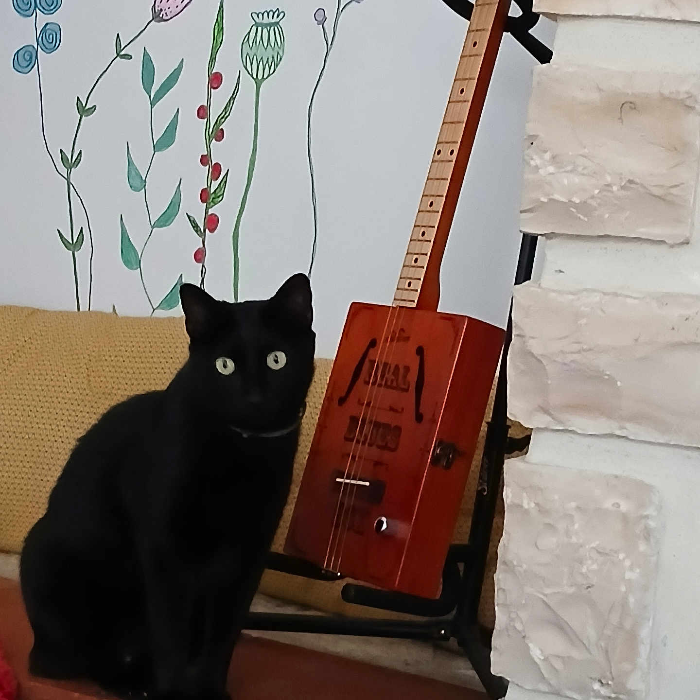 Gustave participe au concours pour gagner de l'argent avec cette photo : animal, black_cat, blanket, cat, cozy, curious, decor, feline, flower_drawing, guitar, home, indoor, musical_instrument, pet, red_blanket, sitting, stone_wall, stringed_instrument, tile_floor, wall_art