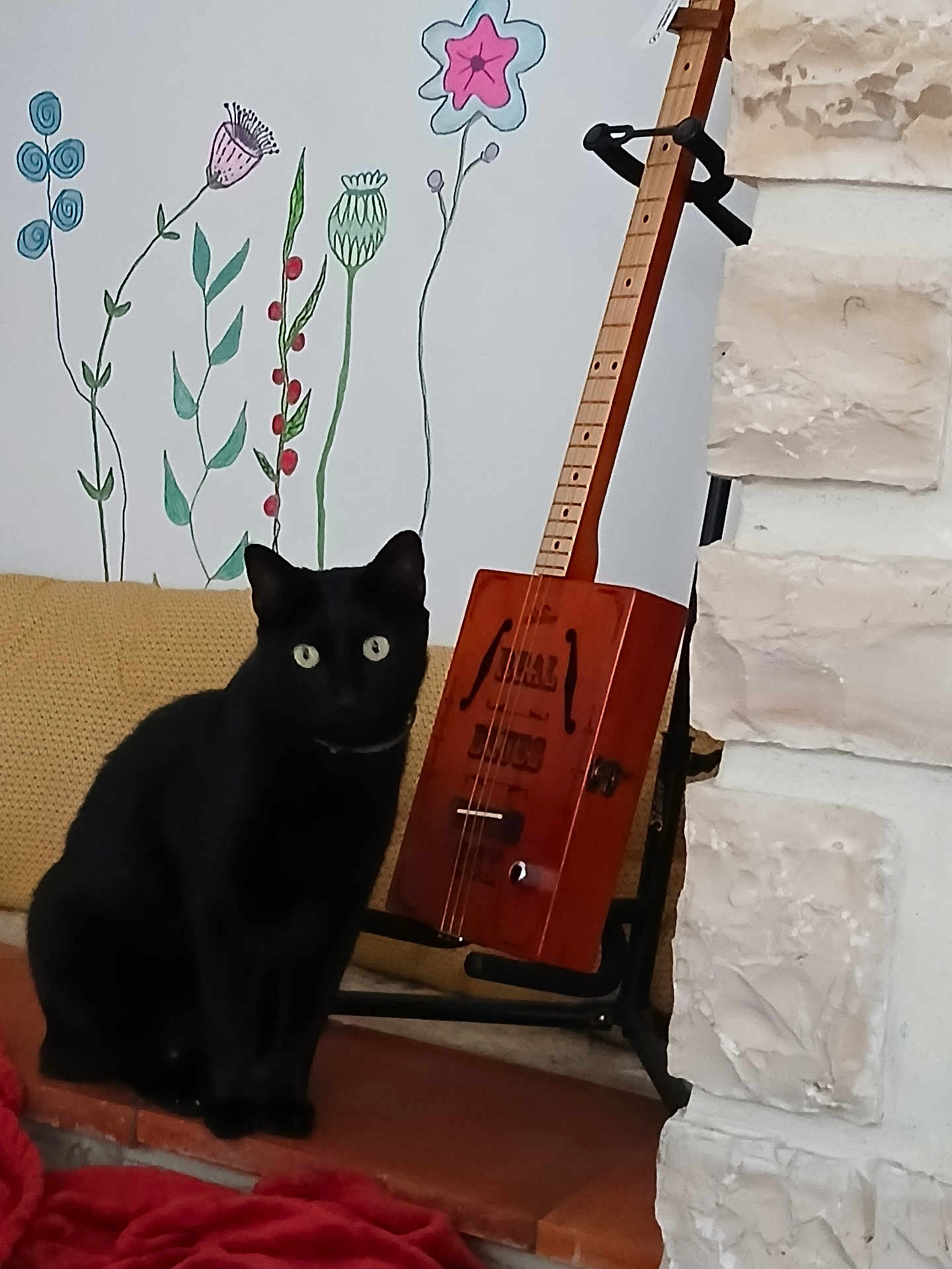 Gustave participe au concours pour gagner de l'argent avec cette photo : black_cat, cat, animal, pet, indoor, stringed_instrument, guitar, musical_instrument, wall_art, flower_drawing, decor, blanket, red_blanket, tile_floor, stone_wall, cozy, curious, sitting, feline, home