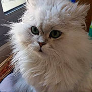 Charly participe au concours pour gagner de l'argent avec cette photo :