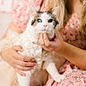 cat, kitten, animal, pet, heterochromia, blue_eye, green_eye, white_fur, tabby, portrait, close_up, held, person, hands, floral, pink, dress, indoor, soft_lighting, cute