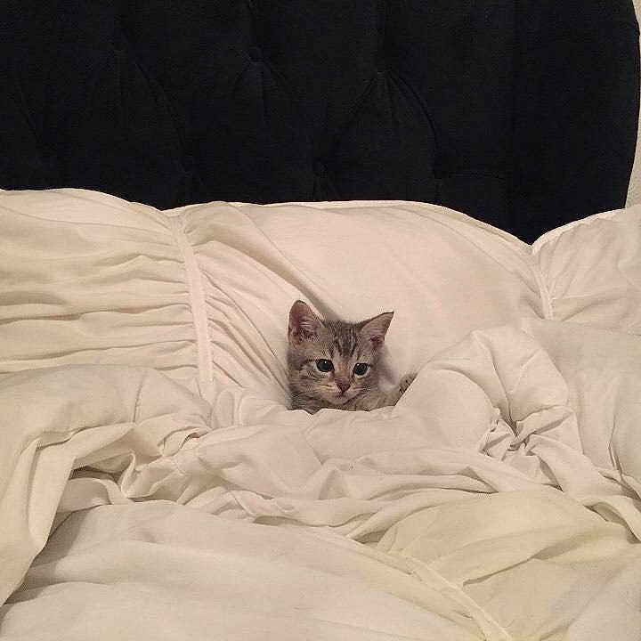 William joined the competition — help win amazing prizes!