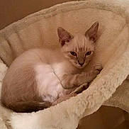 Blanco a rejoint le concours — aidez-le/la à gagner de superbes lots !