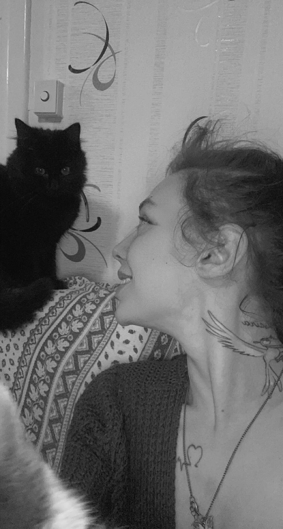 Pumba participe au concours pour gagner de l'argent avec cette photo : black, black_and_white, black_hair, carnivore, cat, comfort, ear, eyelash, felidae, gesture, happy, iris, monochrome, monochrome_photography, neck, nose, small_to_medium_sized_cats, smile, style, whiskers