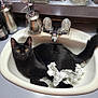 cat, black_cat, sink, bathroom, faucet, crumpled_paper, domestic, pet, curious, animal, yellow_eyes, countertop, toiletries, cotton_swabs, soap_dispenser, relaxing, indoor, fur, whiskers, tail