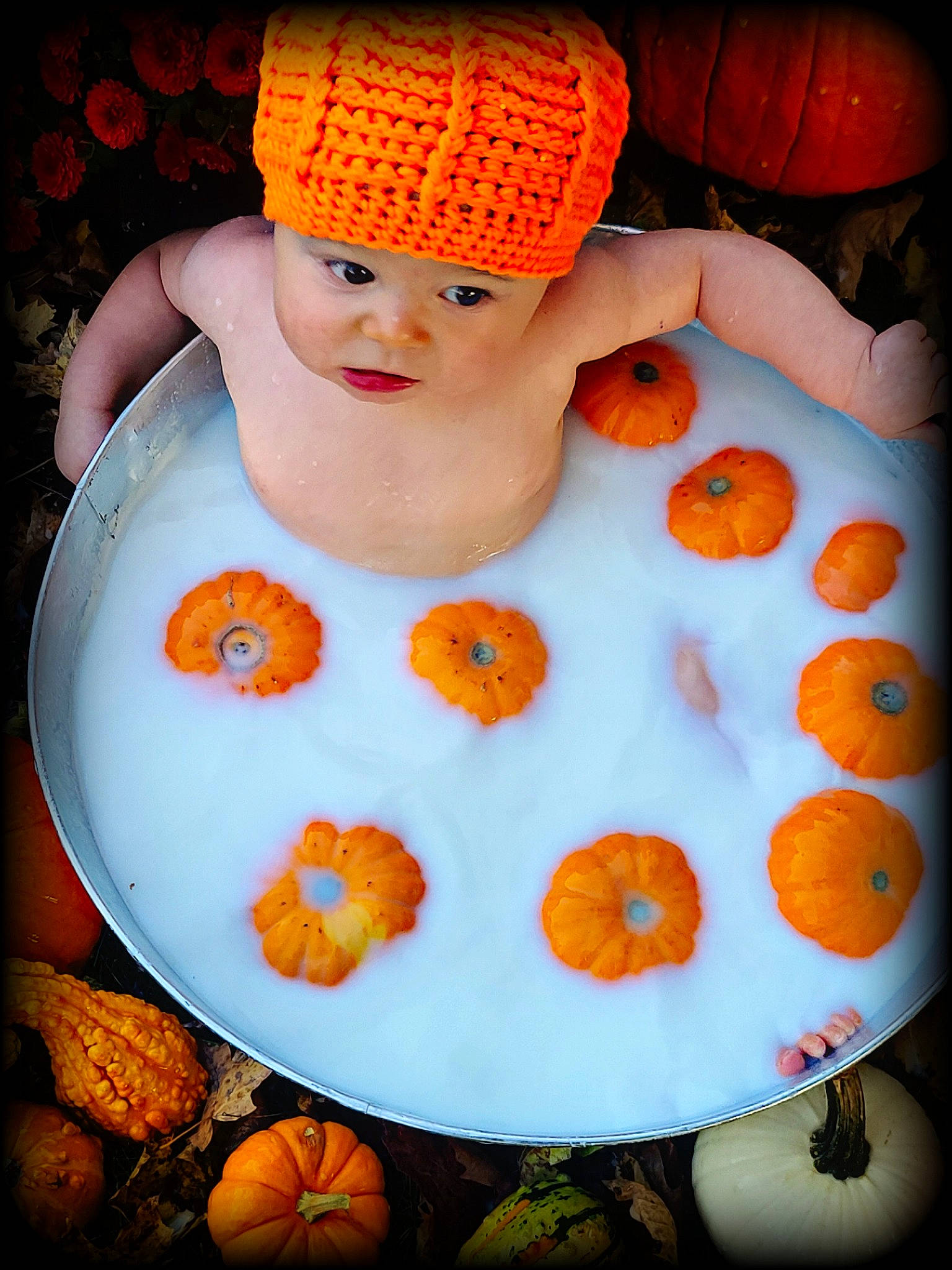 Caden is registered to the contest to win money with this photo: baby, baby_products, baby_sleeping, baby_toddler_clothing, calabaza, cap, child, cucurbita, gourd, headgear, headwear, knit_cap, linens, orange, pattern, person, pumpkin, textile, toddler, winter_squash