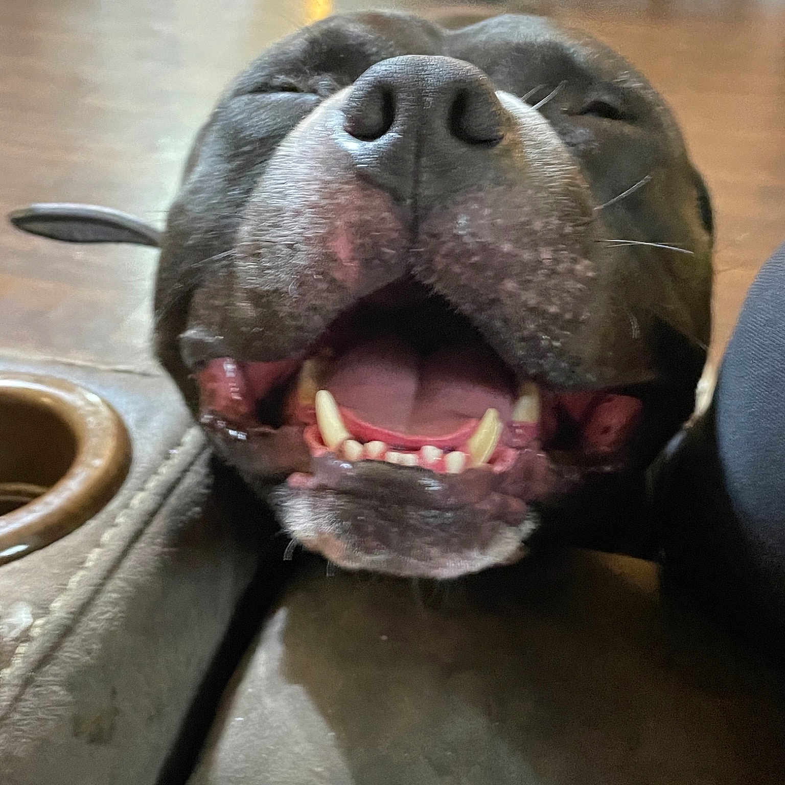 Smokie