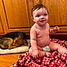 baby, child, infant, sitting, smiling, face, portrait, dog, sleeping_dog, pet, blanket, red_blanket, cushion, wooden_cabinets, indoor, home, floor, barefoot, diaper, cozy