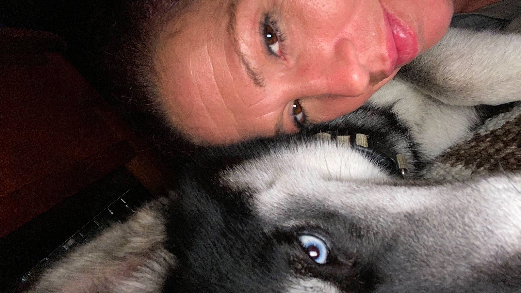 Nova is registered to the contest to win money with this photo: beard, carnivore, cheek, comfort, dog_breed, ear, eye, eyelash, fawn, gesture, head, iris, jaw, kiss, lip, nose, organ, skin, snout, whiskers