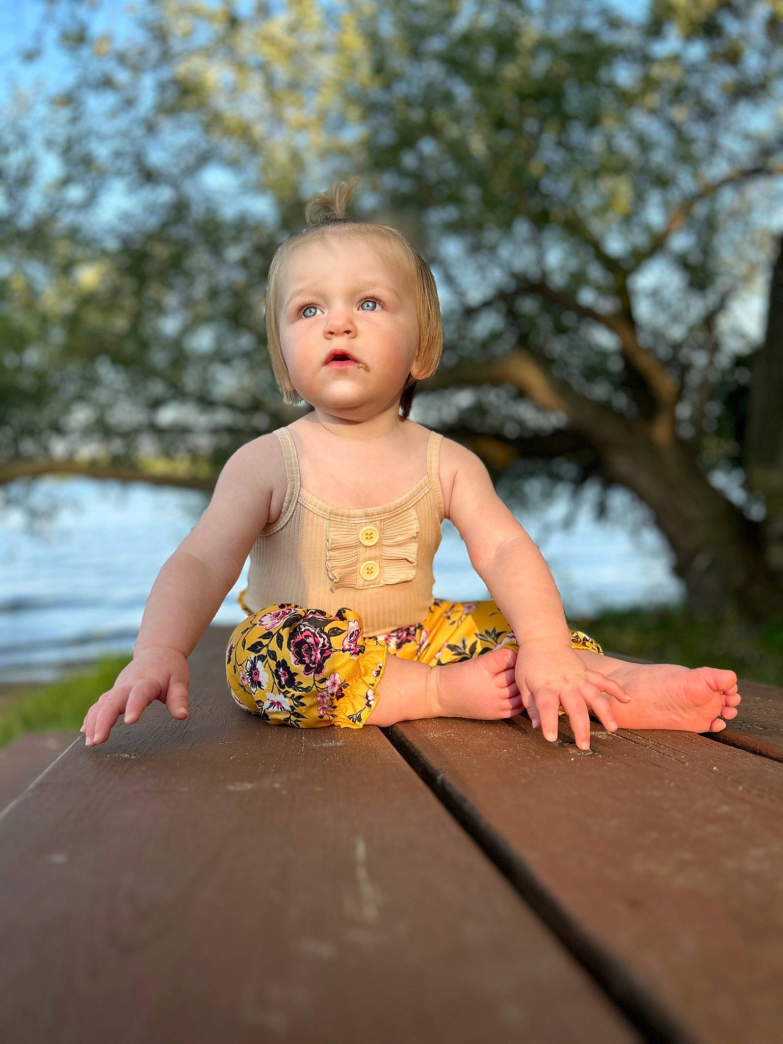 Sylvie joined the competition — help win amazing prizes! abdomen, baby, baby_toddler_clothing, barefoot, blond, child, flash_photography, fun, grass, happy, leaf, leisure, people_in_nature, person, sitting, skin, sky, sunlight, toddler, tree