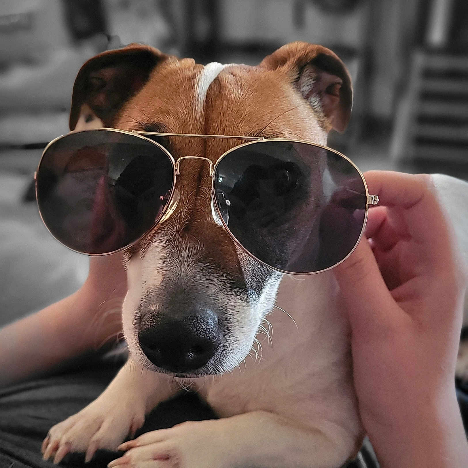 Tina