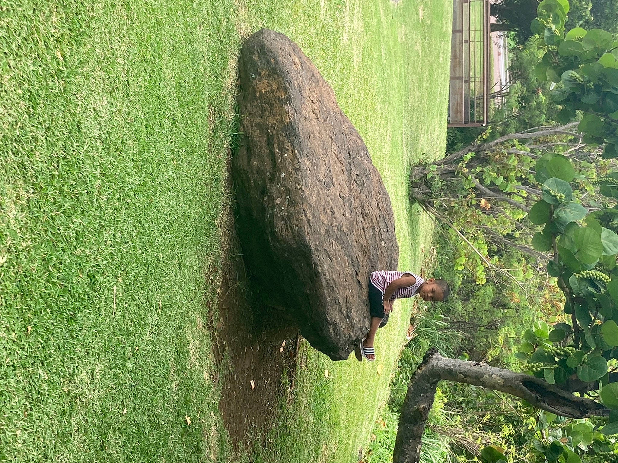 Esaie participe au concours pour gagner de l'argent avec cette photo : beak, grass, grassland, green, groundcover, landscape, natural_environment, nature_reserve, organism, people_in_nature, person, plant, rock, shrub, terrestrial_animal, terrestrial_plant, tree, trunk, vegetation, wood